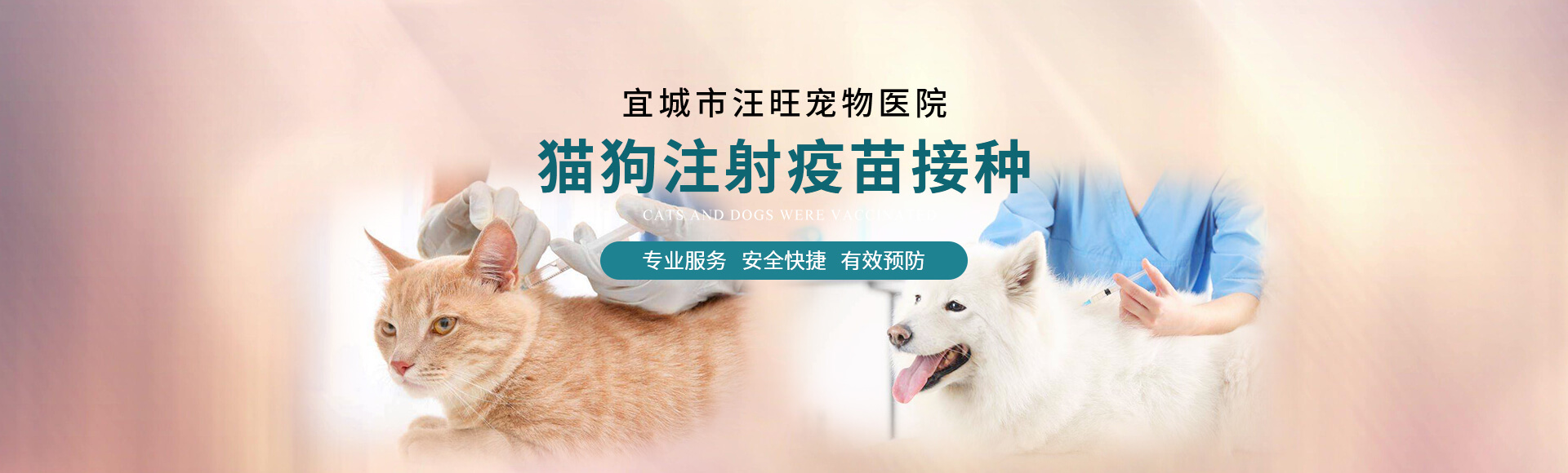 宜城寵物寄養托運